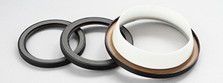 Oil Seals PTFE