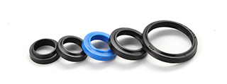 Oil Seals MPW series