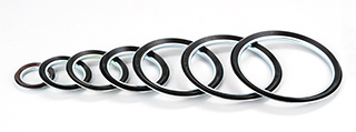 Oil Seals RM series